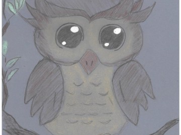 Wyniki konkursu Portret sowy, 